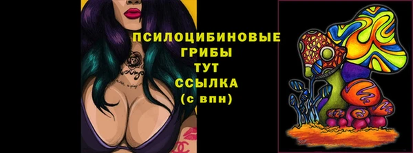 ГАЛЛЮЦИНОГЕННЫЕ ГРИБЫ Снежинск