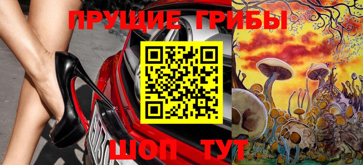 Псилоцибиновые грибы Psilocybe Рославль