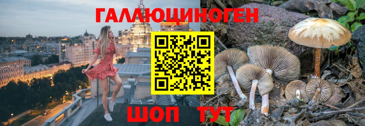 Псилоцибиновые грибы Psilocybe  Вход с VPN  Рославль  Псилоцибиновые грибы мицелий 